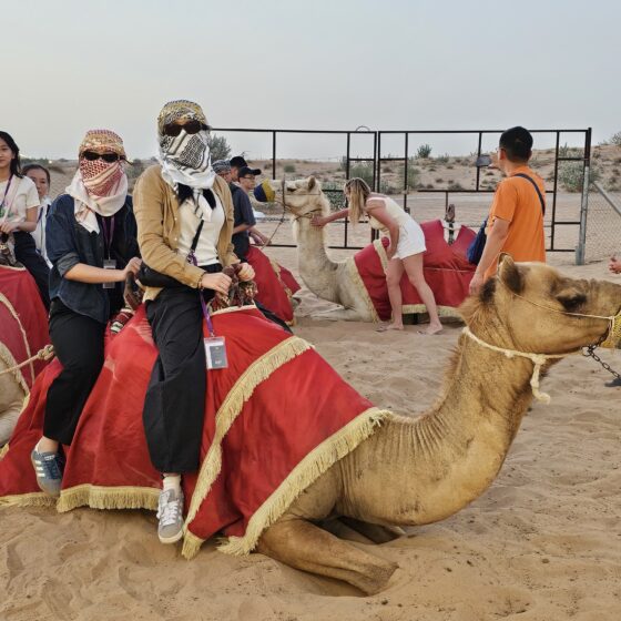 Dubai Desert Safari 2
